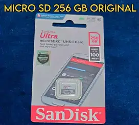 Memory Micro SD 256 GB Sandisk Original