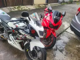 Kawasaki Ninja 250 bs TT