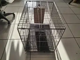 Dijual kandang kucing bekas ( Nego)