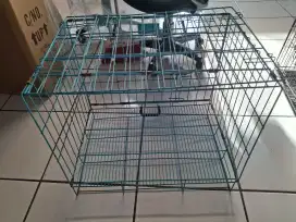 Kandang kucing bekas (Nego)
