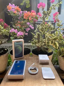Iphone 12 mini 128gb blue ibox