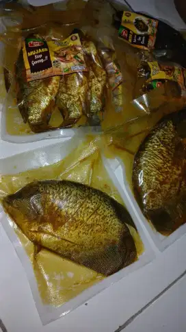 Ikan gurame. Mujaer. Lele