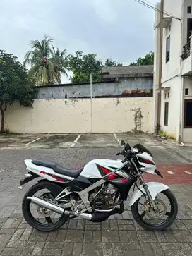 NINJA R 2014 albino