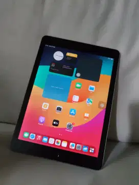 iPad 6 128gb wifi only murmer