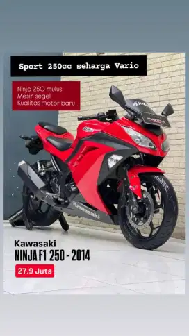 Kawasaki Ninja New FI 250 2014