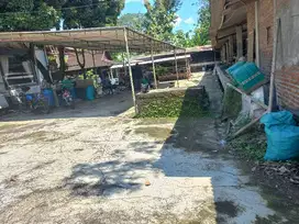 KANDANG SAPI LUAS 1000 METER SIAP PAKAI TERNAK