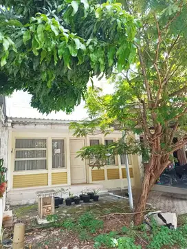 Disewakan Rumah Bagus Cluster Florencia Lippo Cikarang