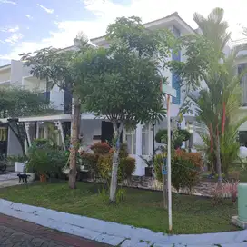 dijual cepat rumah mewah 3 lantai di tanjung bunga