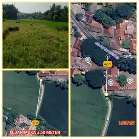 Tanah sawah+darat 11.255 m2 Cariu/Tanjungsari Jonggol 40 m Transyogi