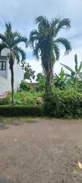Jual Tanah Kavling di Jalan Utama Bukit Cimanggu City - Bogor