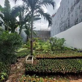 KAVLING RESIDENTIAL TANAH PADAT SIAP DIBANGUN PERUM GREEN GARDEN