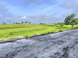 Tanah Zona Kuning Siap di Kavling Sragen