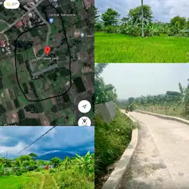 Tanah murah Cijeruk udara sejuk view pegunungan dekat kota