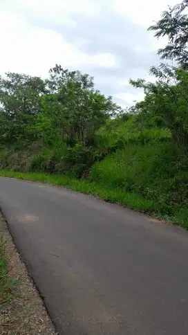 dijual lahan 9800 meter pinggir jalan