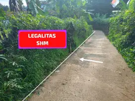 DI JUAL TANAH KEBUN SETRATEGIS HARGA MURAH