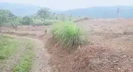 Dijual Tanah murah 2,3 ha di Jonggol