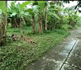 tanah di manggisan magelang