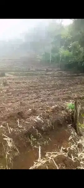 dijual tanah kebun produktif di arjasari kab Bandung