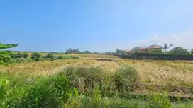 tanah komersil lokasi tibu biu pasut tabanan Lingkungan villa