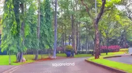 DIJUAL KAVLING ASRI DI KAWASAN ELITE DE PARK CLUSTER CAJUPUTI BSD CITY