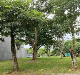 Kavling dijual di cluster Inika Island BSD Tangerang