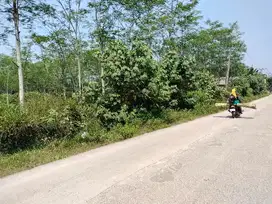Di Jual Tanah di Sindang Mulya Kec Maja Lebak