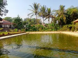 TANAH KOLAM IKAN BONUS BANGUNAN DI KAWASAN WISATA