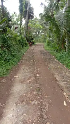 tanah kavliang siap bangun, tampaksiring Gianyar Bali