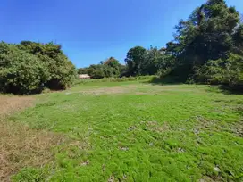 LAHAN 4415 m2 DI DEKAT OBJEK WISATA PANTAI YEH GANGGA - BALI