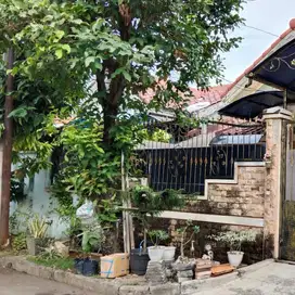 RUMAH BAGUS MURAH TERJANGKAU ALAM RAYA TANGERANG