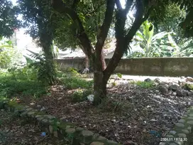 Tanah dijual 144 m2 SHM Situ Gede kota Bogor dekat cifor bubulak