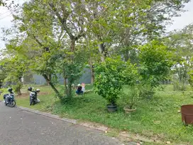 Jual Kavling Badan di vermont, bsd, lokasi bagus, tenang, jarang ada