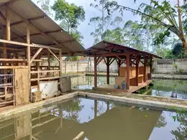 ngrho Dijual Murah Rumah villa sejuk asri dengan mata air