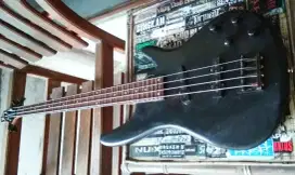 Bass Sdgr 4string