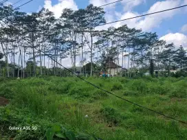 Dijual Tanah Strategis Di Jalan Nasional Wonosobo - Kertek