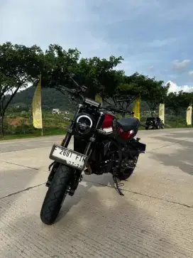 BENELLI LEONCINO 250cc LIKE NEW MODEL MOTOR CUSTOM