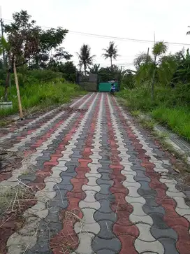 Tanah Kavling Dramaga, 5 Km Kampus IPB Dramaga