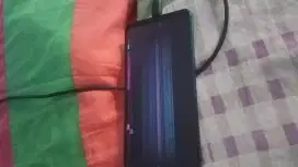 Jual vivo seadanya