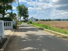 Peluang Emas! Kavling Dekat IPB, Potensi Untung Maksimal!