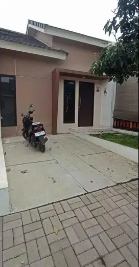Over kredit cluster kasuari tempat strategis