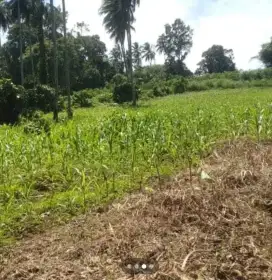 Dijual tanah /kapling