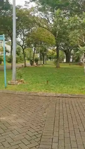 Dijual Kavling/ Tanah De Park Cajuputi BSD