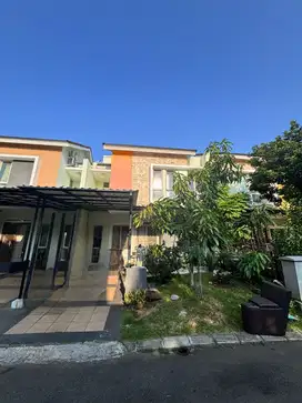 DIJUAL Rumah Siap Huni di Cluster Jasmine Gading Serpong Tangerang