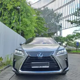 LEXUS RX300 LUXURY 2019 / RX 300 2019