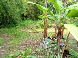 Dijual Murah Sebidang Tanah