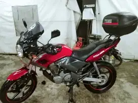 Honda Tiger 2004 Modif
