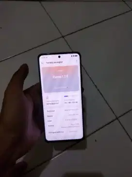 Oppo Reno 13 F G
