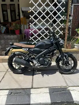 All New Yamaha XSR 2024 - Black Doff