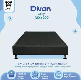 Dipan / Divan Sleep Owl