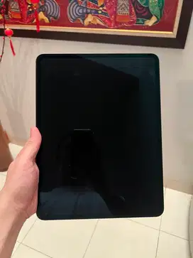 iPad Pro M4 256gb Wifi Cellular Space Gray CPU MATI